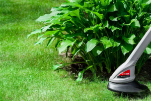 Рейтинг лучших триммеров для травы с Алиэкспресс: обзор топ-17 популярных моделей