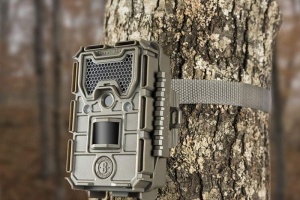 Рейтинг фотоловушек для охоты с алиэкспресс: ТОП-17 лучших моделей в 2025 году