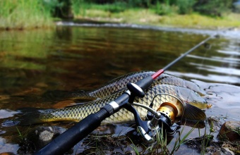 Рейтинг удочек с Алиэкспресс: ТОП-20 лучших моделей