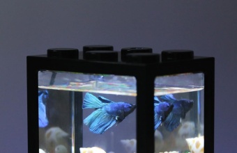 ТОП-20 лучших товаров для аквариума с Алиэкспресс