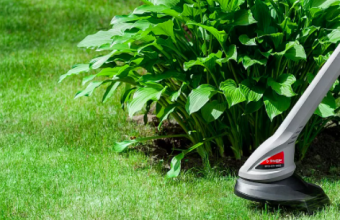 Рейтинг лучших триммеров для травы с Алиэкспресс: обзор топ-17 популярных моделей