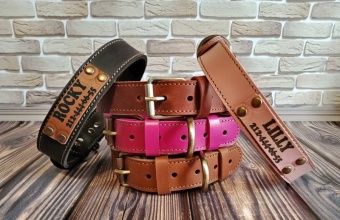 Обзор ошейников с Алиэкспресс: ТОП-17 лучших ошейников для собак