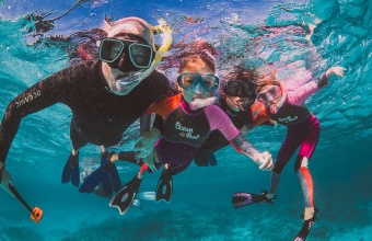 ТОП-20 лучших масок для плавания с Алиэкспресс: обзор лучших моделей