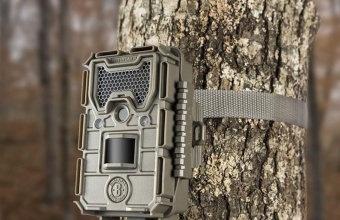 Рейтинг фотоловушек для охоты с алиэкспресс: ТОП-17 лучших моделей в 2025 году