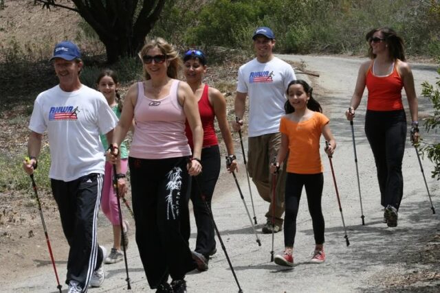 палки для скандинавской ходьбы