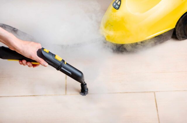 Выбираем пароочиститель, изучив его важные характеристики